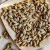Infusion de France - Malt - Curiousitea