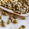 Infusion Biologique de France 「Malt」 – Image 2