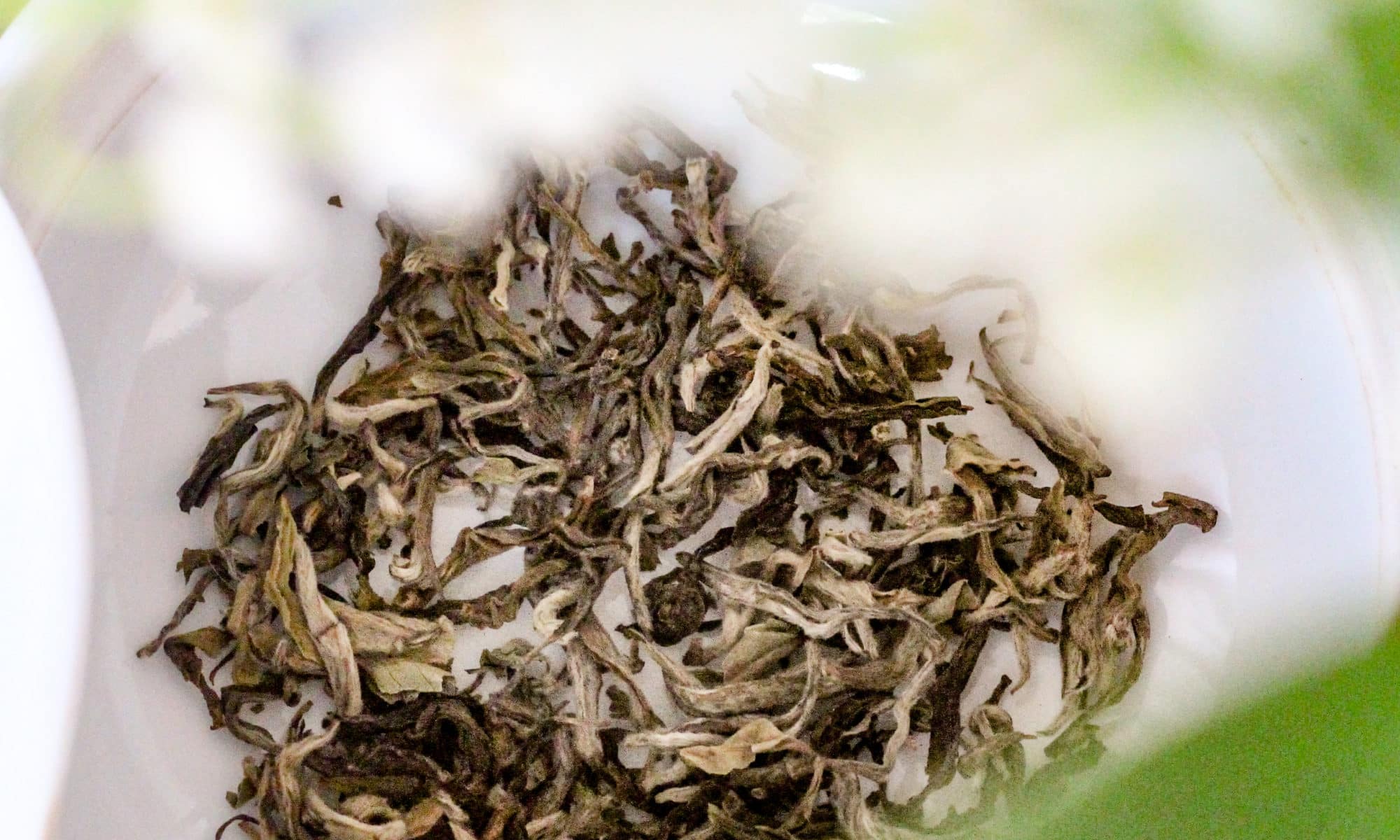 Thé blanc du Darjeeling - Montagnes Argentées - Comptoir de thé en ligne Curiousitea