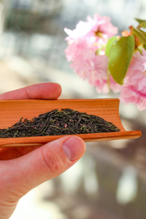 Sencha & Fleurs de Cerisier du Japon - Brise Fleurie - Curiousitea.fr