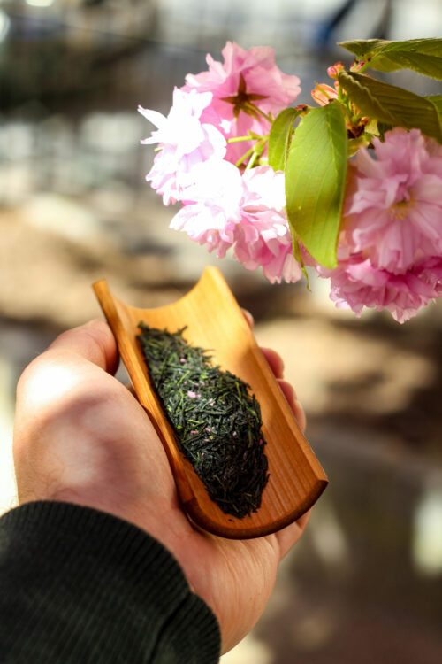 Sencha & Fleurs de Cerisier du Japon - Brise Fleurie - Curiousitea.fr