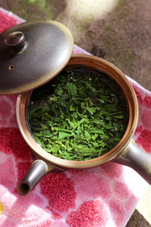 Sencha & Fleurs de Cerisier du Japon - Brise Fleurie - Curiousitea.fr