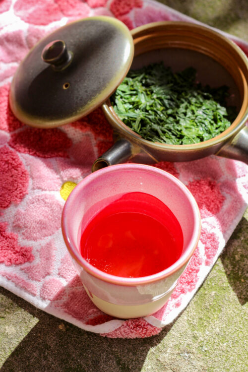 Sencha & Fleurs de Cerisier du Japon - Brise Fleurie - Curiousitea.fr