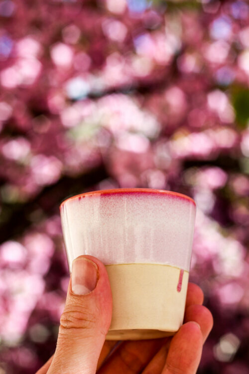 Sencha & Fleurs de Cerisier du Japon - Brise Fleurie - Curiousitea.fr