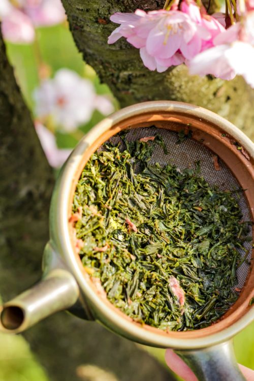 Sencha & Fleurs de Cerisier du Japon 「Brise Fleurie」