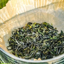 Thé Vert 'Organic' Sejak de Corée du Sud 「Verdure Ensoleillée」