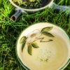 Thé Vert 'Organic' Sejak de Corée du Sud 「Verdure Ensoleillée」