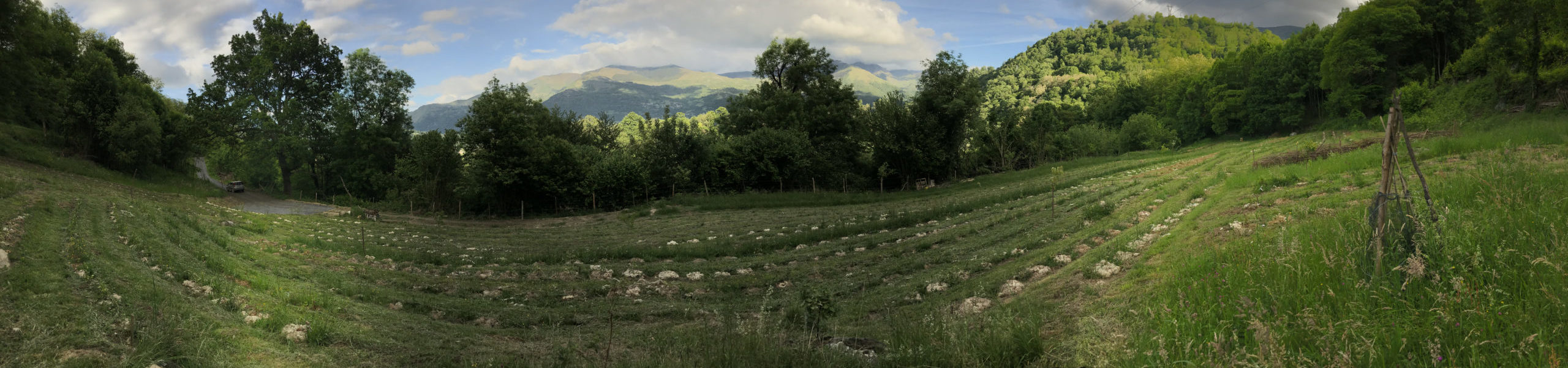 Les Terrasses de l'Arrieulat (panorama) - Thé des Pyrénées