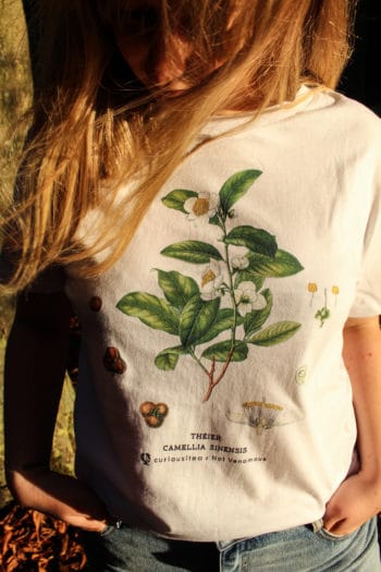 T-shirt Théier 'Camellia Sinensis' Curiousitea x Not Venomous