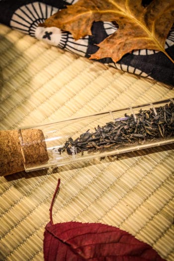 Thé Sombre du Japon - Parfum de Longévité - Curiousitea