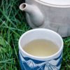 Thé Blanc "vieilli' du Japon - Plaines Anciennes - Curiousitea