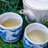 Thé Blanc "vieilli' du Japon - Plaines Anciennes - Curiousitea