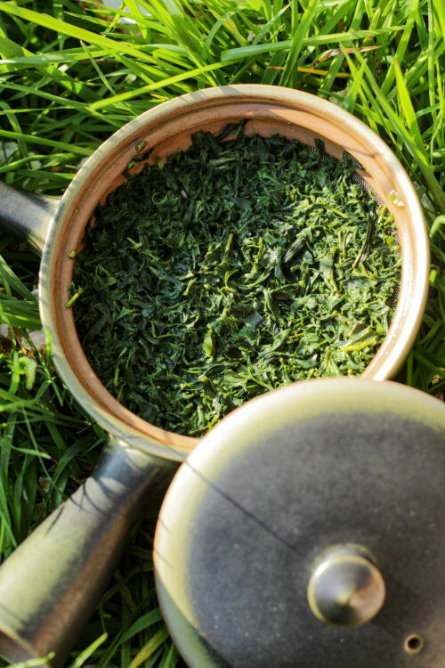 Tamaryokucha Organic du Japon - Lune Verte - Cultivar Saekari - cultivé sans pesticides - Curiousitea.fr