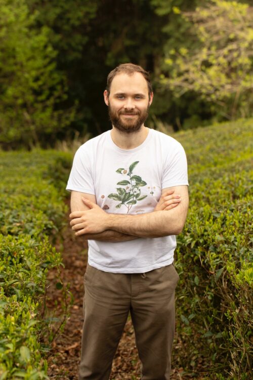 Plantation de thé ‘organic’ à Minami-yamashiro, Département de Kyōto, Japon (Crédits photo : @fragments_japon)