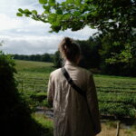 Plantation de thé breton à Camors, Morbihan, Bretagne | Thé vert premium de France「L'Estival」– Récolte 2024 - Curiousitea.fr