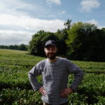 Plantation de thé breton à Camors, Morbihan, Bretagne | Thé vert premium de France「L'Estival」– Récolte 2024 - Curiousitea.fr