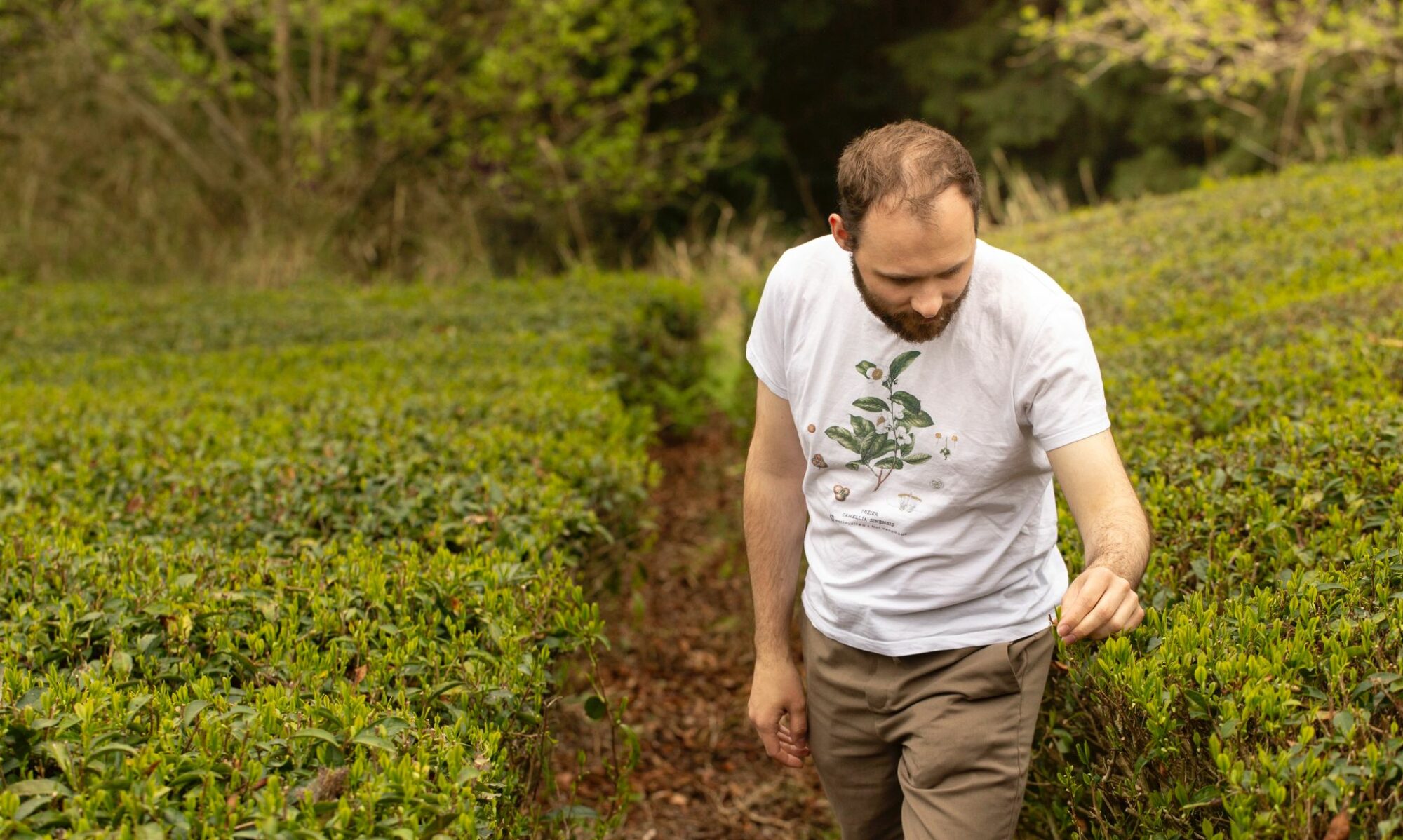 Photographies de Vincent Costes (@fragments_japon) - Visite au jardin de thé de Ryōtarō ISOZAKI, Département de Nara, Japon - Curiousitea - curiousitea.fr