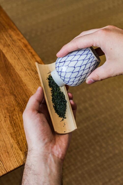 Gyokuro Organic Shincha 2025 - Cultivar Seimei - Nuage Irisé - SAKAMOTO Shuichiro - Curiousitea.fr