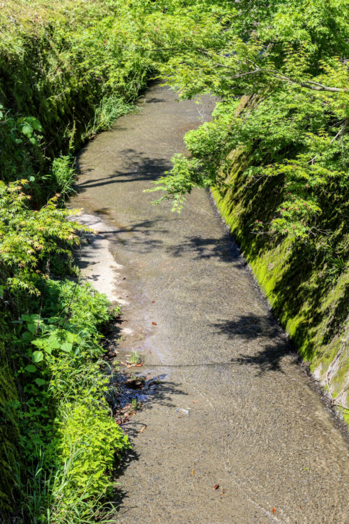 Cours d'eau & érables au Printemps, Shibushi-shi, Département de Kagoshima, Japon - Curiousitea.fr