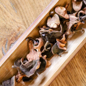 Infusion de graines de théier de Loire-Atlantique - Thé de Cosse - Thé de France - Thé français de Thomas Bernardi (Les Landes Vivantes) sur Curiousitea.fr